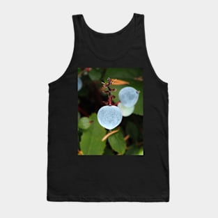 Oregon grape (Mahonia aquifolium) berries in a Pacific Northwest forest Tank Top